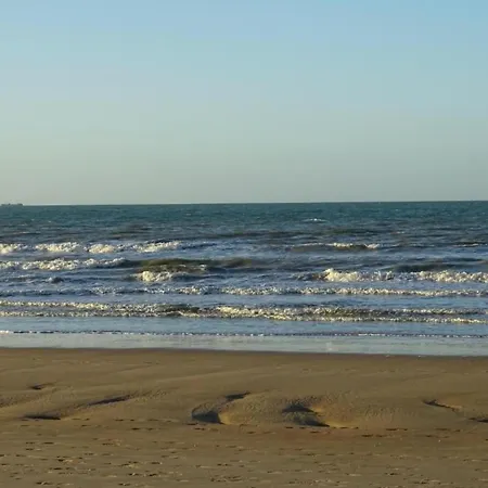 With Sea Views On Belgian Coast, Cleaning Included Lägenhet