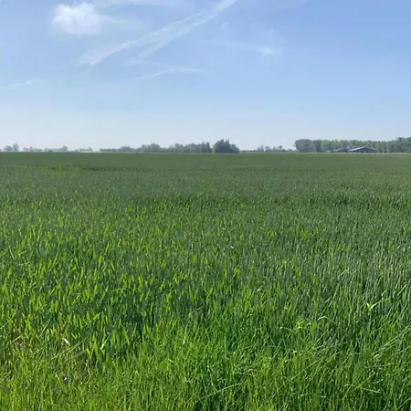 In For 4 Persons, Cleaning Included Apartment Nieuwpoort