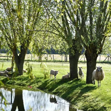 In For 4 Persons, Cleaning Included * Nieuwpoort