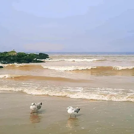 With Sea Views On Belgian Coast, Cleaning Included